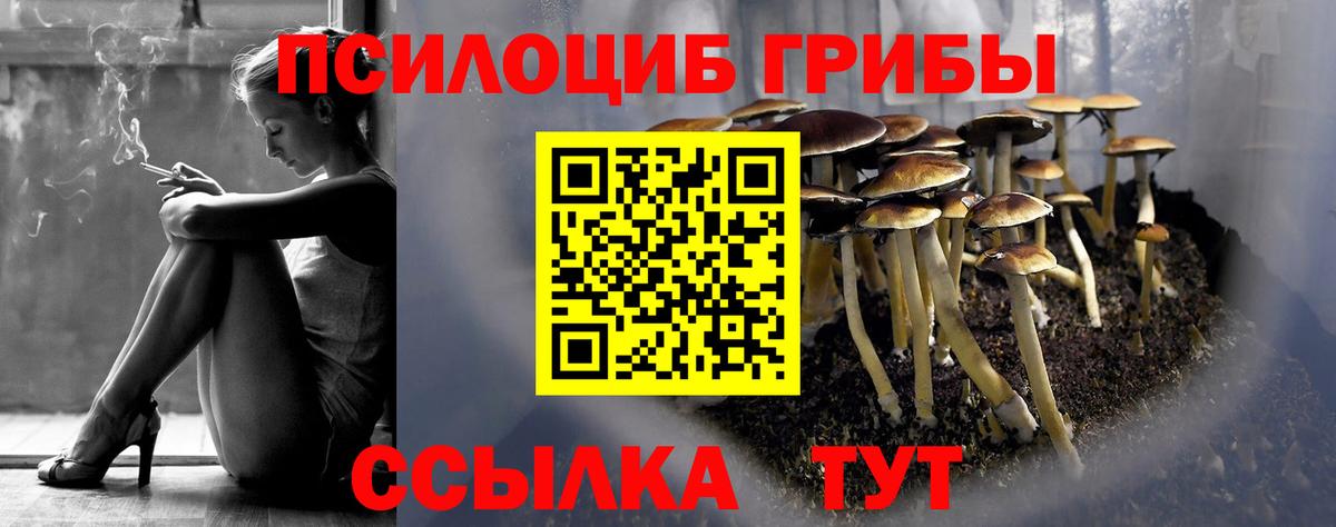 Галлюциногенные грибы мицелий  Вход с VPN  Янаул 